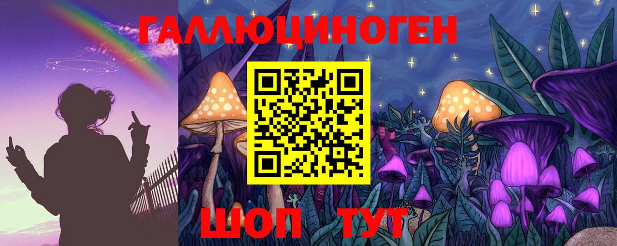 Псилоцибиновые грибы Psilocybe  закладка  Екатеринбург  Вход с VPN 